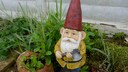 Gartenzwerg