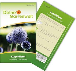 Kugeldistel Samen 