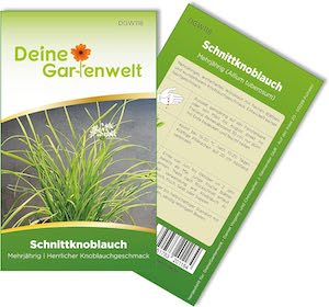 Schnittknoblauch Mehrjährig Samen