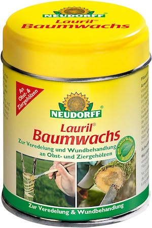 Baumwachs