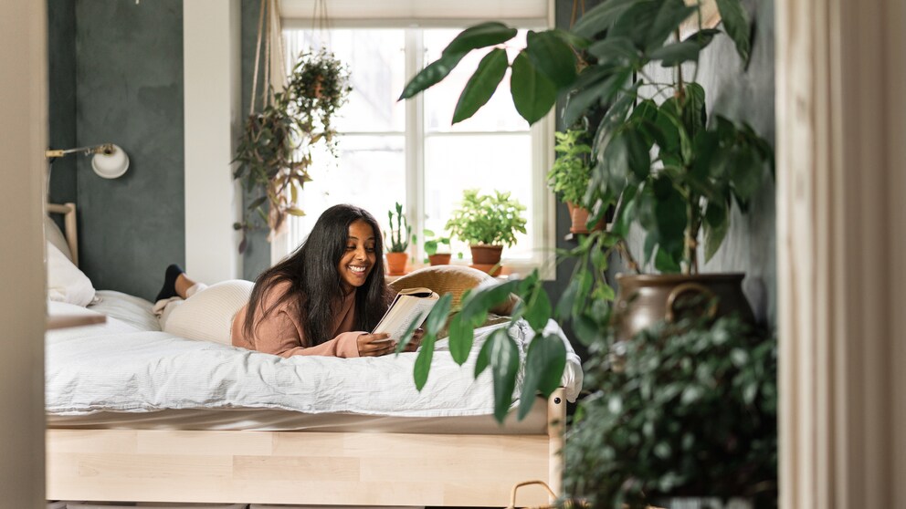 Pflanzen nicht im Schlafzimmer