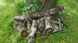 Totholz im Garten