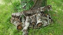 Totholz im Garten