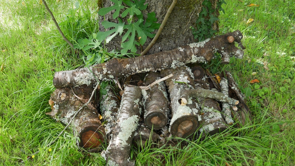 Totholz im Garten