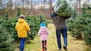 Weihnachtsbaum 2023
