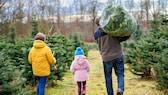 Weihnachtsbaum 2023