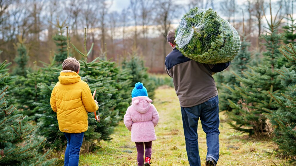 Weihnachtsbaum 2023