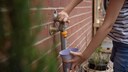 Wasserhahn im Garten abdrehen