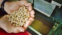 Pellets