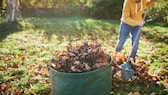 Lässt man das Laub im Garten einfach herumliegen, ist das nicht nur schlecht für die Rasenfläche, sondern auch eine Verschwendung