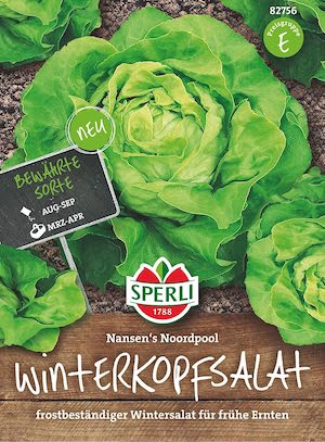 Winter Butterkopfsalat