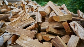 Nur richtig gelagertes Brennholz kann im Kamin brennen