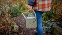 Auch im Herbst und im Winter benötigen Gartenpflanzen Wasser