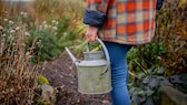 Auch im Herbst und im Winter benötigen Gartenpflanzen Wasser