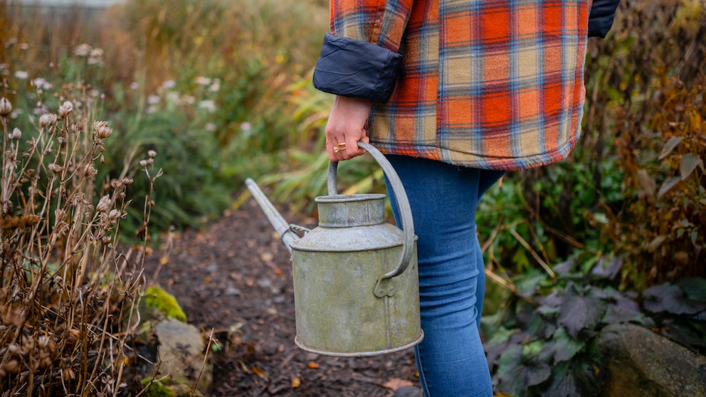 Auch im Herbst und im Winter benötigen Gartenpflanzen Wasser