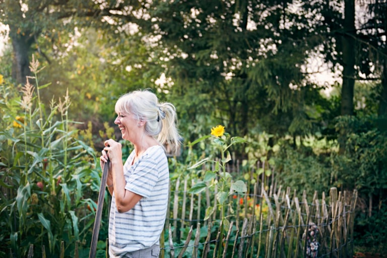 Darf man einen Baum im eigenen Garten fällen?