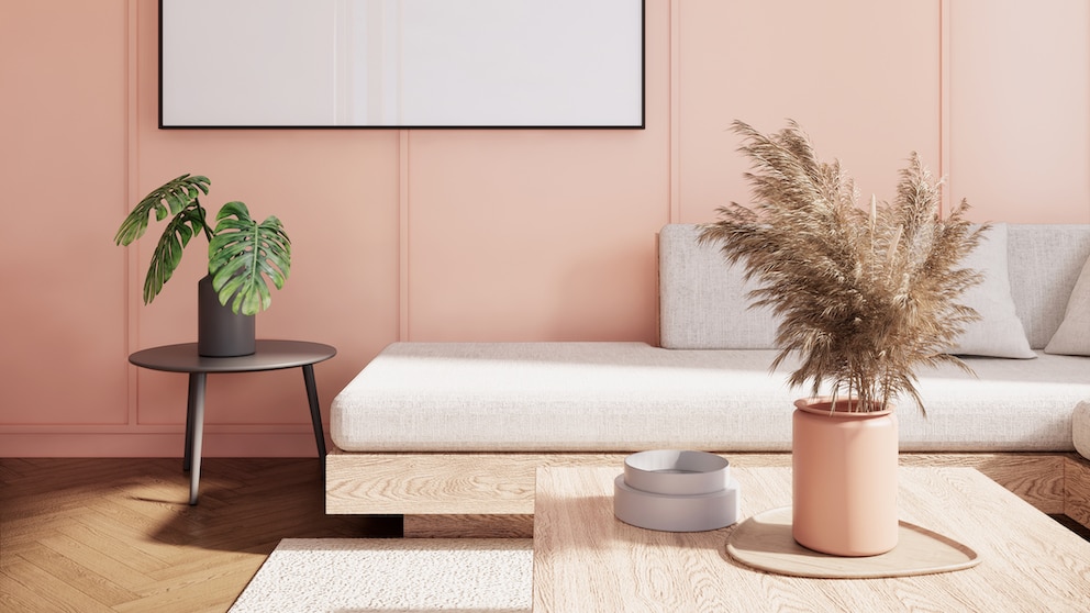 Pantone Farbe 2024 Peach Fuzz