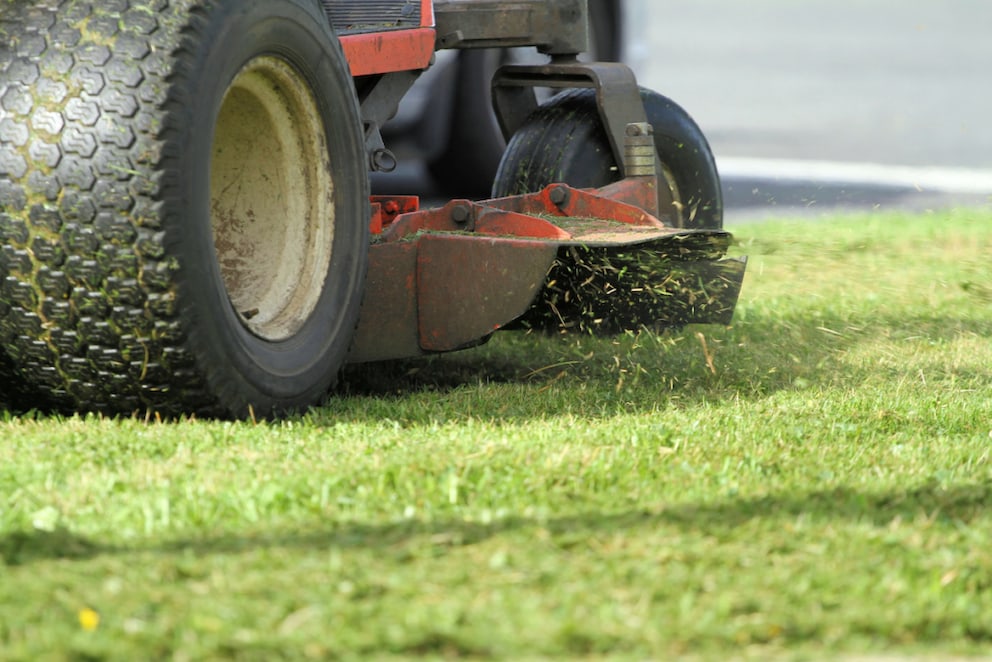 Rasen im Frühling ProfiTipps zum Mähen, Düngen und Säen