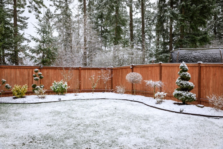 Darf man einen Baum im eigenen Garten fällen?
