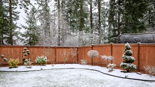 Liegt Schnee auf dem Rasen, sollte man diesen besser nicht betreten