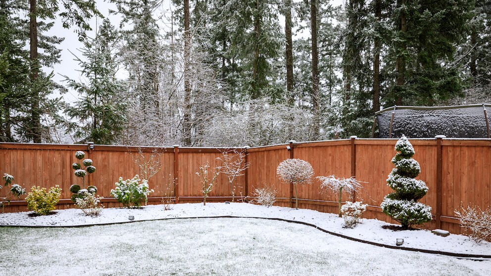 Liegt Schnee auf dem Rasen, sollte man diesen besser nicht betreten