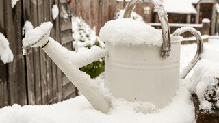 Gießkanne im Winter