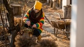 Gartenarbeit im Januar