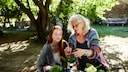 Unterschied Art und Sorte bei Pflanzen