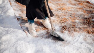 Teppich im Schnee reinigen