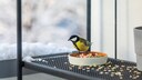 Auch auf dem Balkon kann man im Winter Meisenknödel aufhängen oder Schalen mit Körnern und Samen bereitstellen