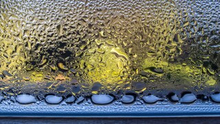 Luftfeuchtigkeit ist gerade im Winter ein großes Problem, welches zur Schimmelbildung beitragen kann