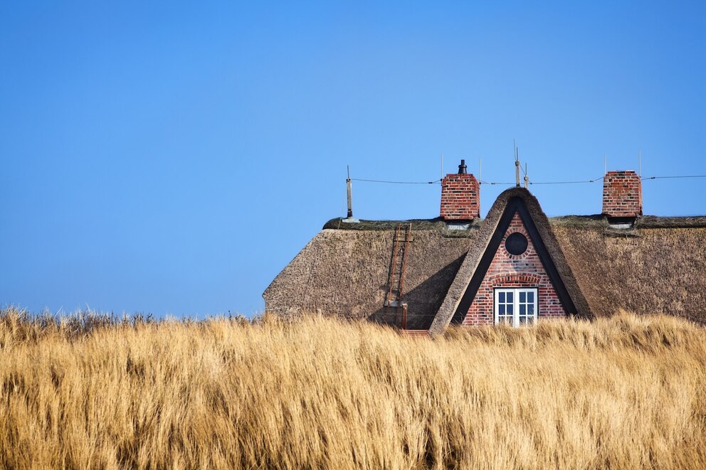 Reetdachhaus in der Ferne