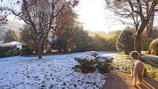 Je nach Wetterlage brauchen die Pflanzen im Garten im Winter eine andere Pflege