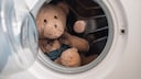 Teddybär in der Waschmaschine