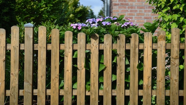 Wie hoch darf ein Gartenzaun sein? Regelungen im Überblick