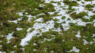 Auch im Februar kann man schon etwas für den Rasen im Garten tun