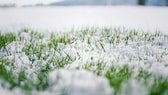 Bereits im Januar kann man schon ein bisschen was für den Rasen im Garten tun