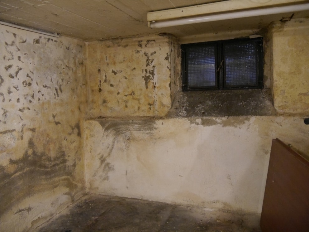 Damp Basement Opitz