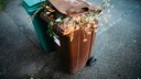 Ob Hausabfälle, Schnittblumen oder Haare, organische Dinge dürfen in die Biotonne