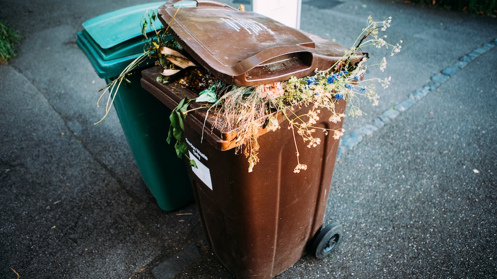 Ob Hausabfälle, Schnittblumen oder Haare, organische Dinge dürfen in die Biotonne