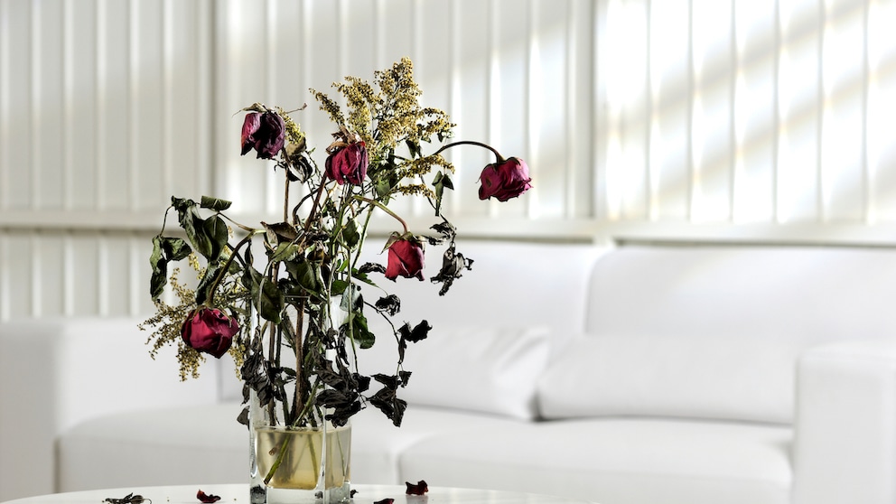 Manche Schnittblumen sind pestizidbelastet, da sie aus dem Ausland importiert werden. Dort gibt es meist andere Regelungen bezüglich des Gebrauchs von Pestiziden.