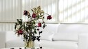 Manche Schnittblumen sind pestizidbelastet, da sie aus dem Ausland importiert werden. Dort gibt es meist andere Regelungen bezüglich des Gebrauchs von Pestiziden.