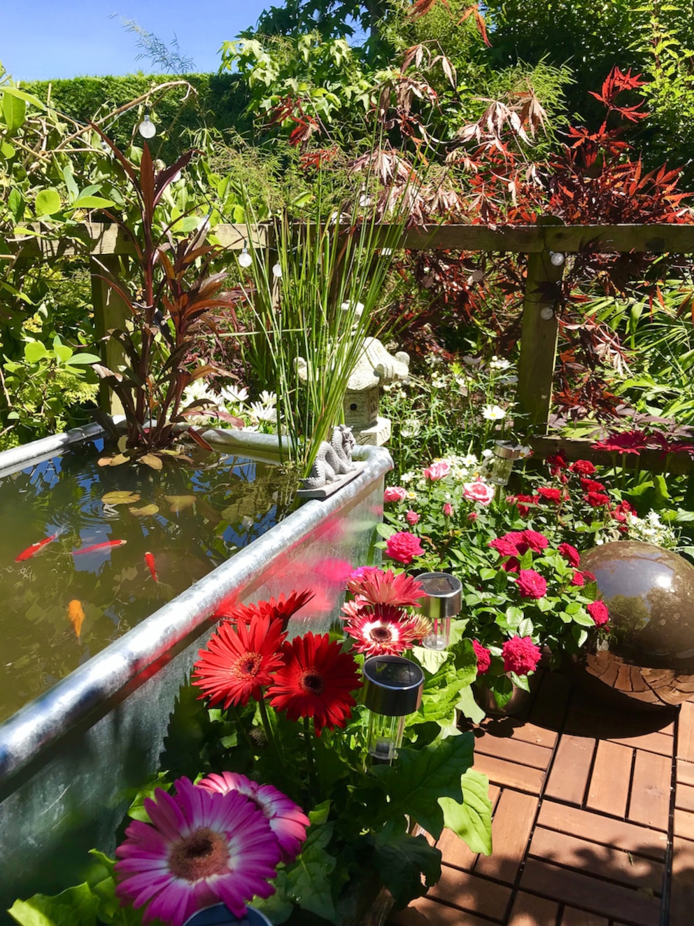 Kleiner Teich auf dem Balkon