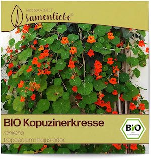 BIO Kapuzinerkresse Samen