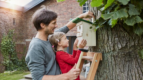 Nistkasten im Garten aufhängen Zeitpunkt, Standort, Höhe