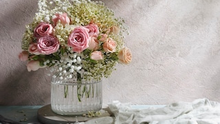 In diesem Strauß befinden sich Rosen und Schleierkraut. Beide Schnittblumen eignen sich für Allergiker, da sie wenig bis gar keine Pollen haben.