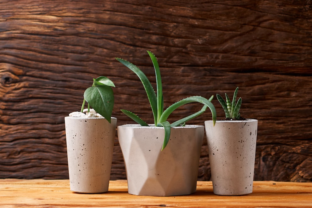 Concrete as an Interior Element