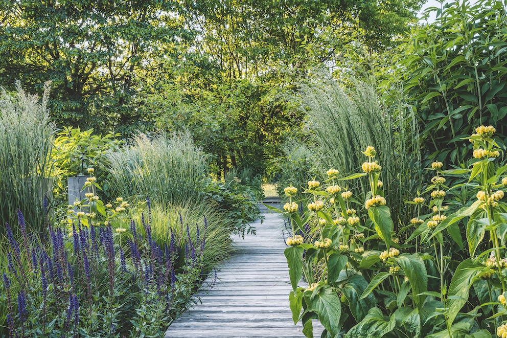 schönster Garten 2024