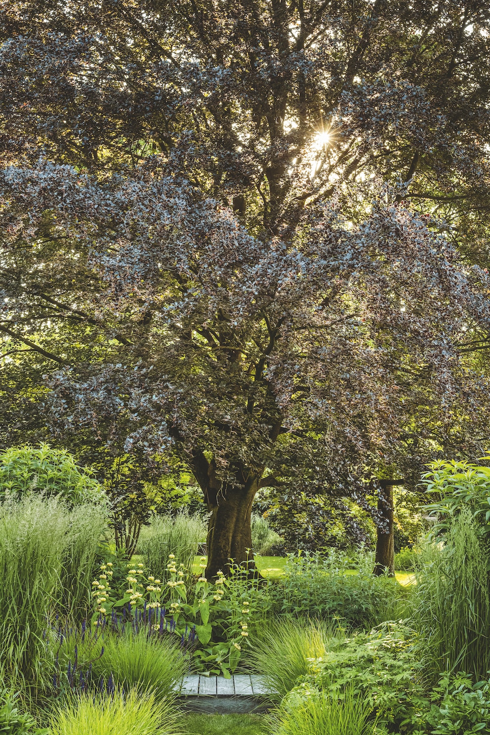 schönster Garten 2024