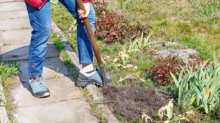Endlich lässt es das Wetter wieder zu, mehr Zeit im Garten zu verbringen